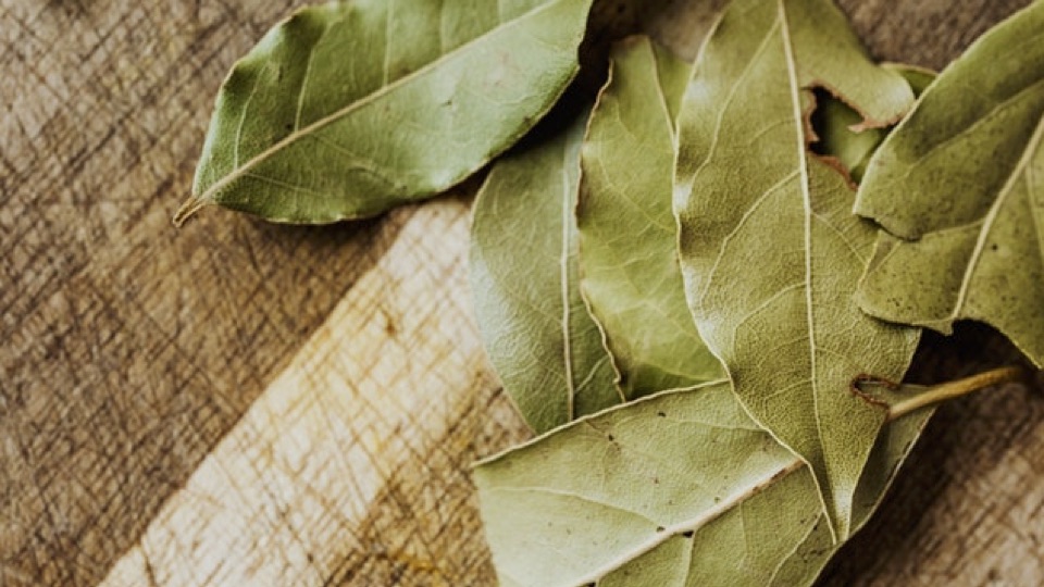 The Many Uses for the Mighty Bay Leaf - NowWithPurpose