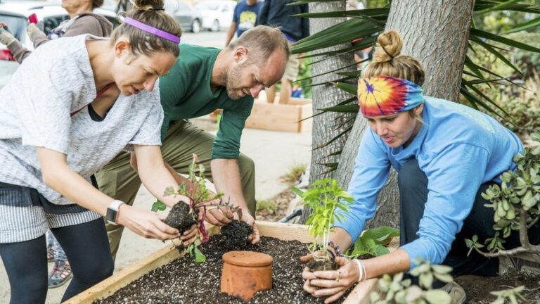How to Create A Successful Community Project - NowWithPurpose